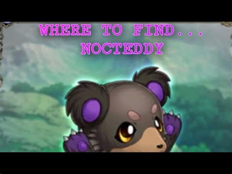 Nocteddy .